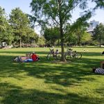 Clinton Cove at Hudson River Park