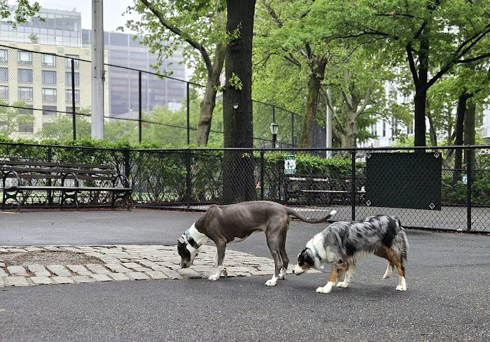De Witt Clinton Dog Run Picture 10