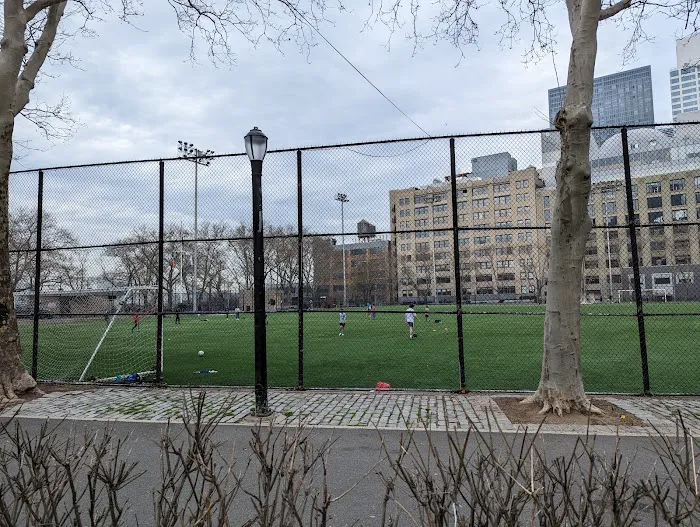 De Witt Clinton Dog Run Picture 1