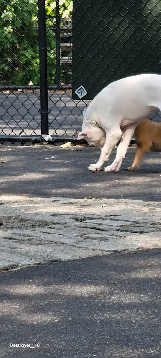 De Witt Clinton Dog Run Picture 4
