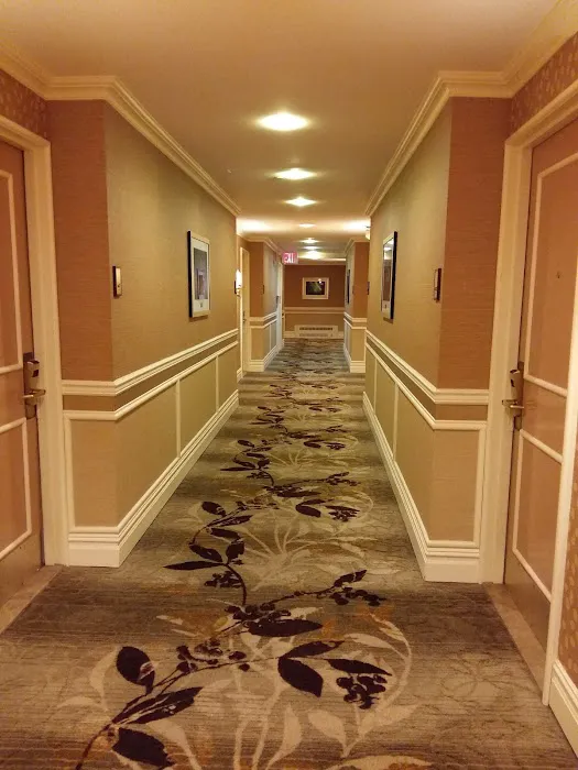 The Skyline Hotel Picture 4