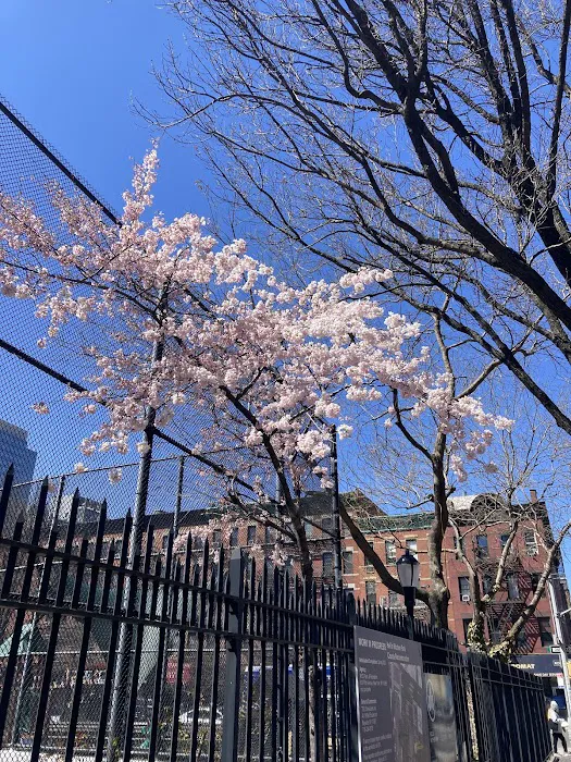 Hell's Kitchen Park Picture 8