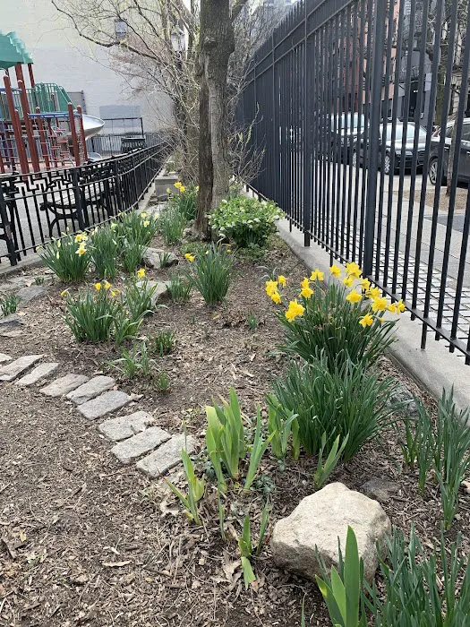 Hell's Kitchen Park Picture 7