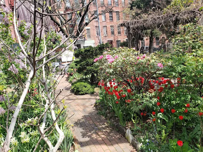 Clinton Community Garden Picture 3