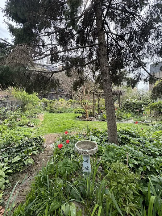 Clinton Community Garden Picture 8