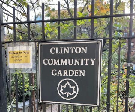 Clinton Community Garden