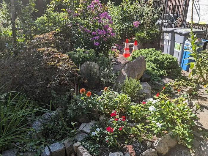 Clinton Community Garden Picture 4