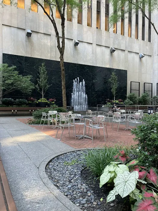 745 Plaza (Public Plaza) Picture 1