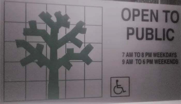 NYC Public Space Picture 1