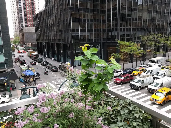 Rooftop Park Picture 4