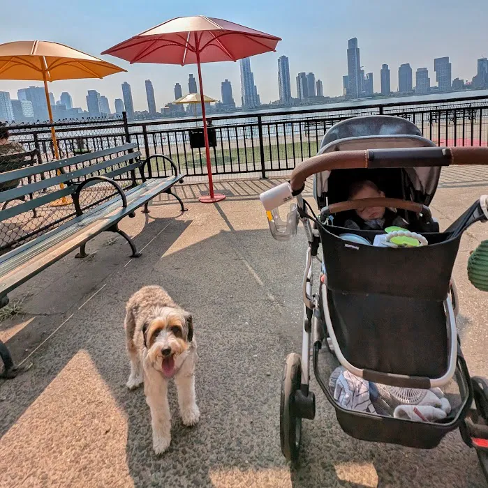 New Wave Pier Dog Run Picture 10