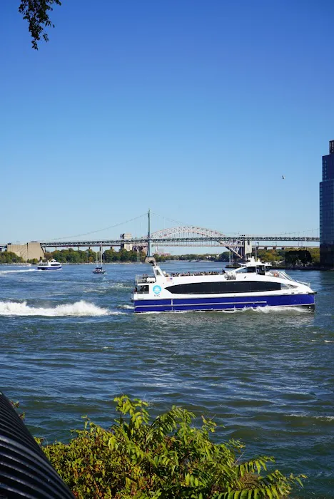 East River Esplanade Picture 8
