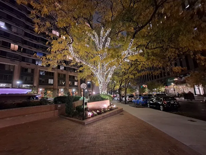 Manhattan Place Public Plaza Picture 1