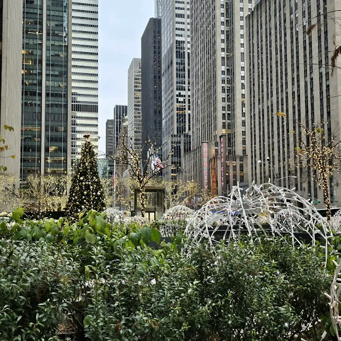 Fox Square Picture 9