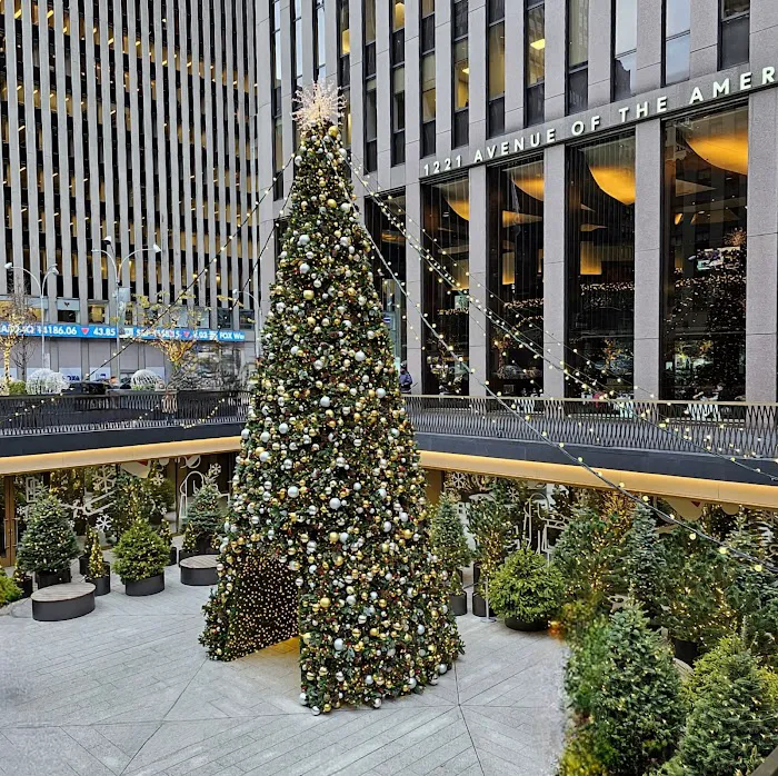 Fox Square Picture 8