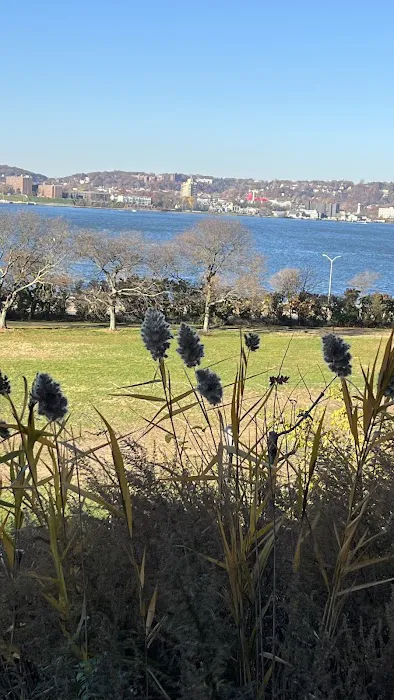 Shore Road Picture 1