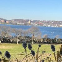 Shore Road ico