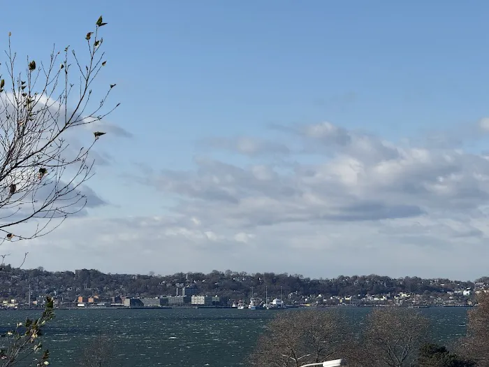 Shore Road Picture 3