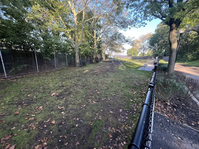 Shore Road and Parkway Dog Run Picture 8