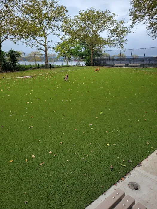 Shore Road and Parkway Dog Run Picture 3