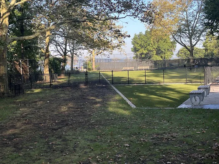 Shore Road and Parkway Dog Run Picture 7
