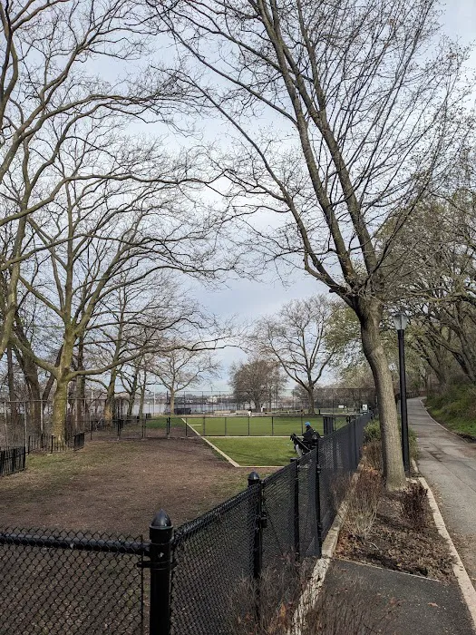 Shore Road and Parkway Dog Run Picture 1