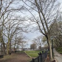 Shore Road and Parkway Dog Run ico
