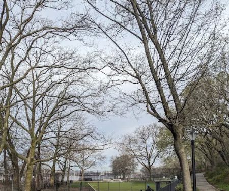 Shore Road and Parkway Dog Run