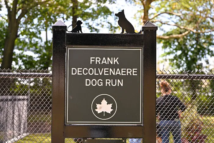 Frank Decolvenaere Dog Run Picture 4
