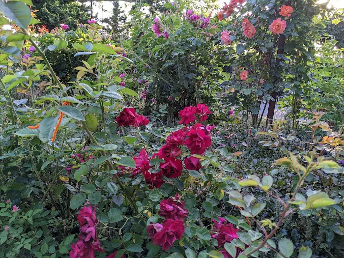 Narrows Botanical Gardens Picture 10