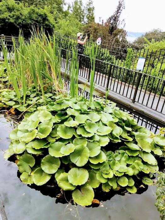 Narrows Botanical Gardens Picture 9
