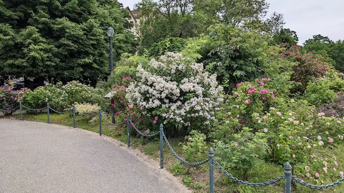 Narrows Botanical Gardens Picture 5