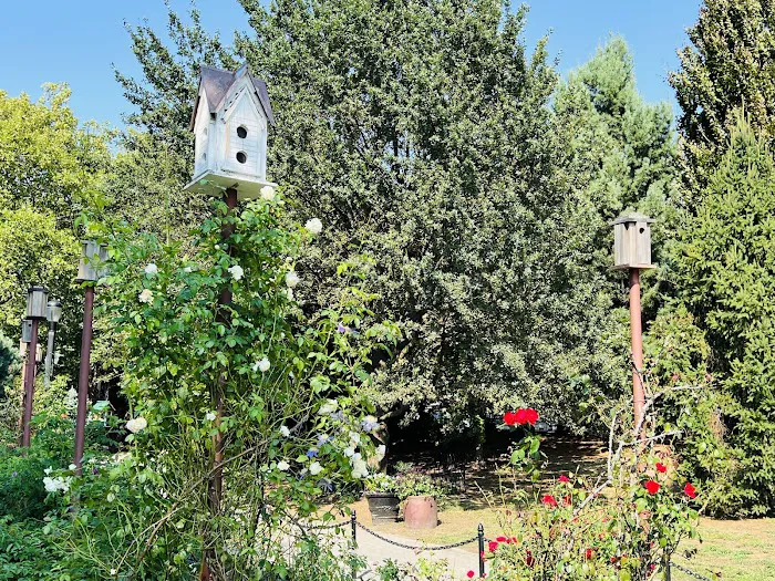 Betty’s Garden Picture 8