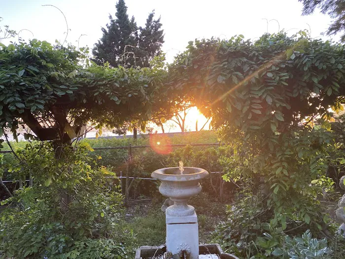 Betty’s Garden Picture 4