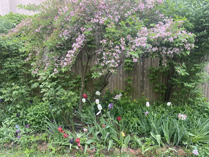 The Secret Garden Brooklyn Picture 6