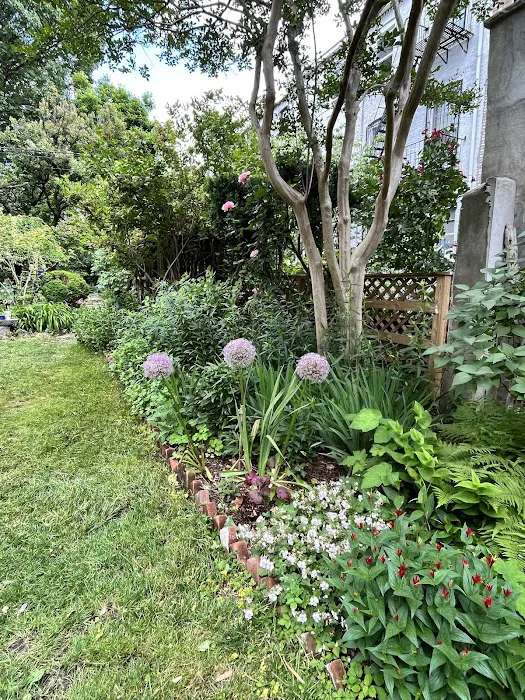 The Secret Garden Brooklyn Picture 3