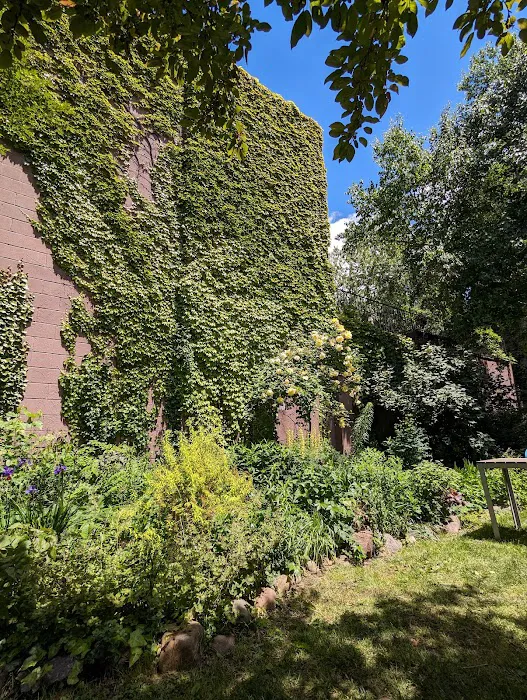 Summit Street Community Garden Picture 2