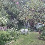 Summit Street Community Garden