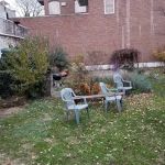 The Amazing Garden
