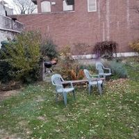 The Amazing Garden ico