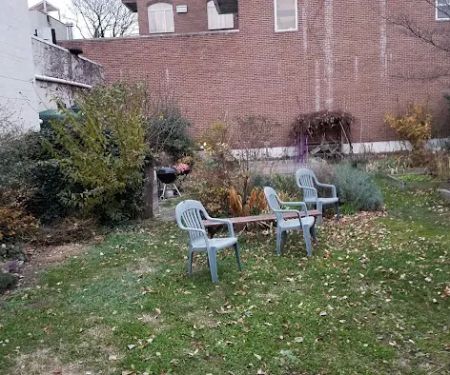 The Amazing Garden