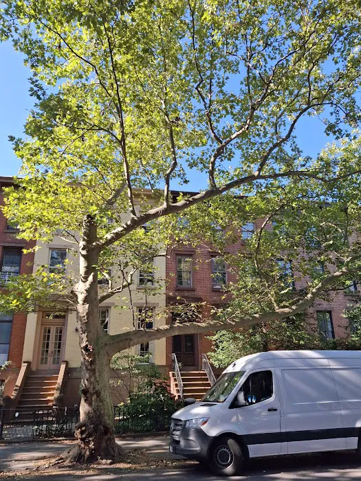 Boerum Hill Guest House Picture 2