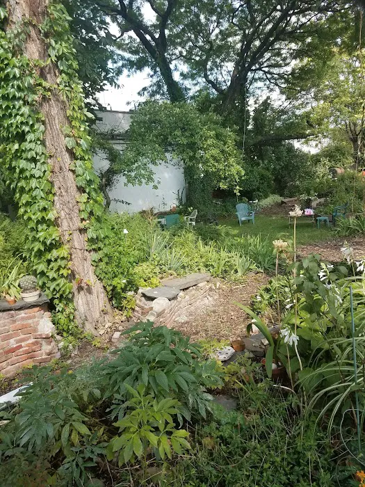 The Backyard Picture 6