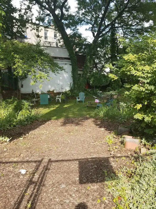 The Backyard Picture 7