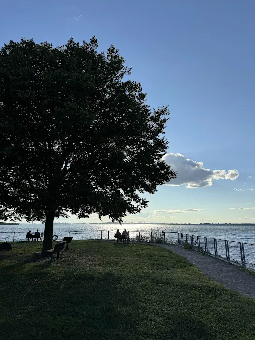 Pier 41 Waterfront Garden Picture 4