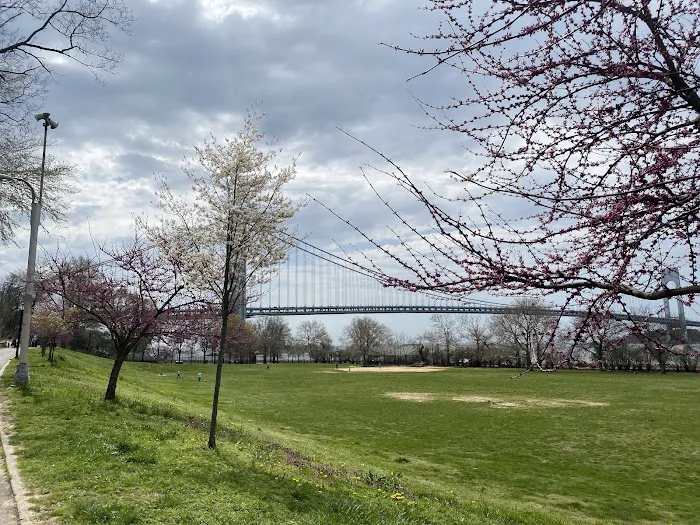Shore Road Park Picture 10