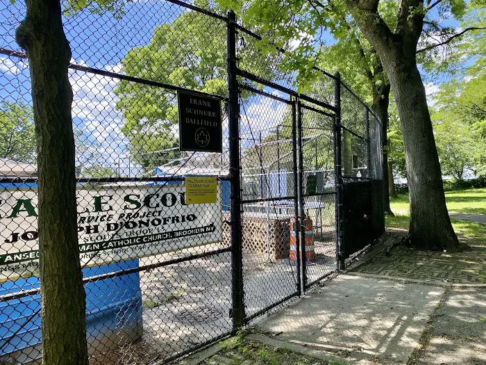 Frank Schnurr Ballfield Picture 7