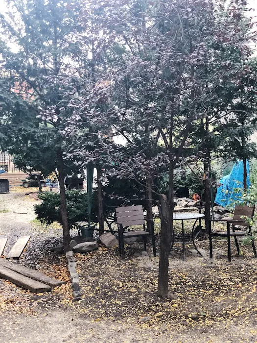 Sage Garden Picture 4