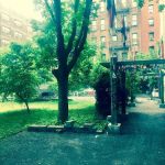 Generation X Garden