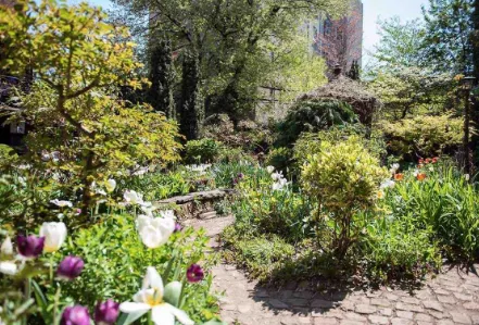6BC Botanical Garden Picture 1